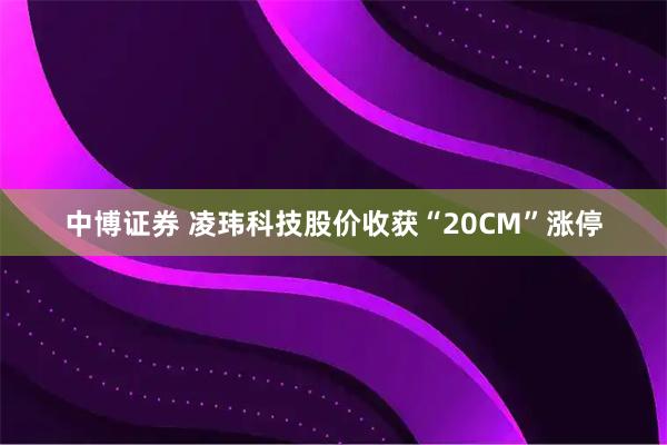 中博证券 凌玮科技股价收获“20CM”涨停